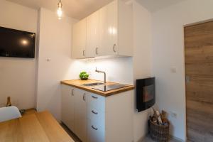 Apartment Loyd, Kranjska Gora - studio