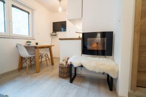 Apartment Loyd, Kranjska Gora - studio