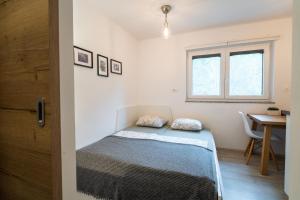 Apartment Loyd, Kranjska Gora - studio
