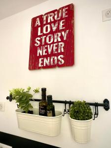 Appartements Appartement cosy : Appartement 1 Chambre