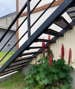 Lindo apartamento céntrico y cercada de todo
