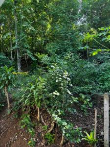 Hotel Entre Dos Aguas