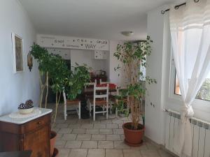 Sunshine Home 2
