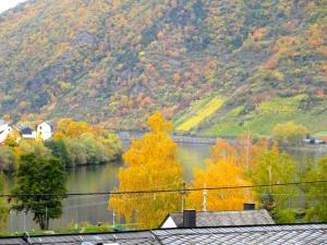 Moselschön Das Ferienhaus