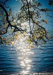 Casa Gargano - Carpino