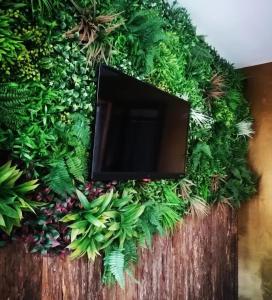 Villa spacieuse et élégante en campagne à Fontvieille offrant sauna