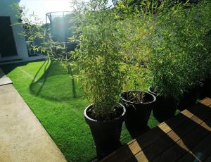 Villas Villa spacieuse et elegante en campagne a Fontvieille offrant sauna : photos des chambres