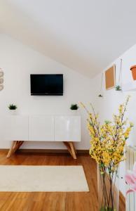 City Center Loft Novalja 