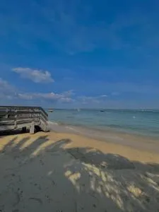 Cabane Claouey, bassin Cap ferret - Claouey