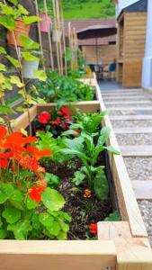 Maisons de vacances Le Physalis gite tout confort : photos des chambres