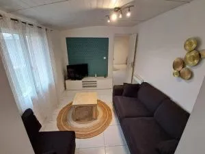 maison individuelle bassin arcachon - Le Teich