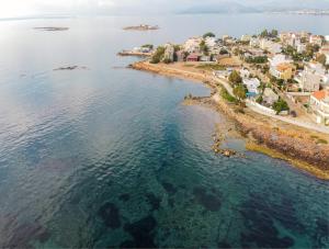 Artemis Boutique House