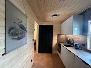 DOMKI Leśna Cisza jezioro Powidzkie dla 18 osób - 5D Apartments