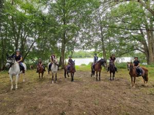 B&B / Chambres d'hotes Ferme equestre & Chambres d'hotes Gateau Stables proche Guedelon : photos des chambres
