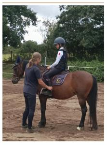 B&B / Chambres d'hotes Ferme equestre & Chambres d'hotes Gateau Stables proche Guedelon : photos des chambres