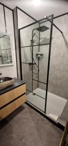 Appartements Suite des Lices a 2 minutes de la Gare- Chateau de blois - Suite des Lices 2 minutes from train station - Chateau de Blois : photos des chambres