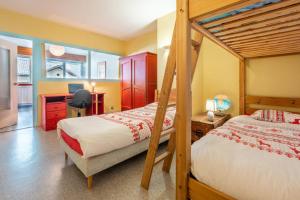 Appartements In the center of Chamonix with views of Mont Blanc : photos des chambres