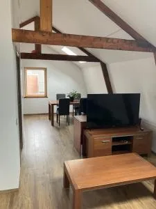 Freshly renovated cosy apartment - Vijfhuizen