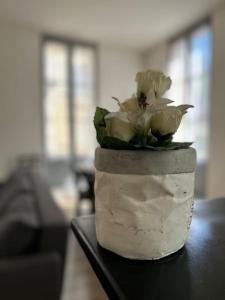Appartements T3 lumineux - Vieux Bergerac - proche commerces : photos des chambres