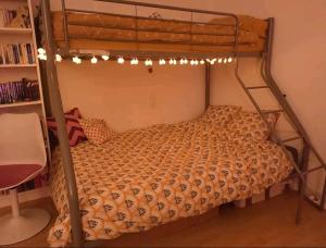 Grande chambre chez lhabitant dans hypercentre piéton