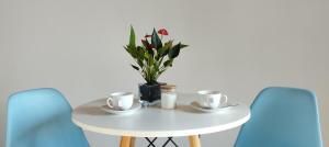 Conforto e Privacidade no Roteiro do Vinho