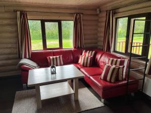 Beautiful log cabin Druviņas