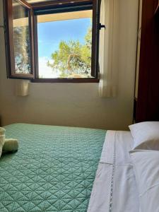 Seaside secluded apartments Cove Lucica, Hvar - 15546