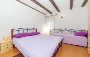 Amazing Home In Kraljevica With Wifi 