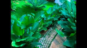 Alina Farm Resort- Two Bedroom Villa