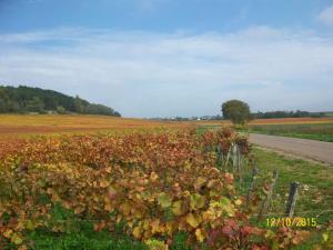 Maisons de vacances Holiday home Gite des Hautes Cotes de Beaune : photos des chambres