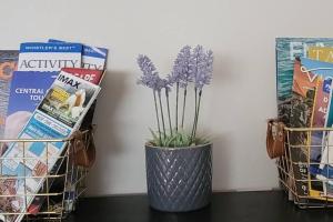 Cheerful 2BR suite, onsite free parking for your CAR