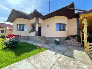 Pensiunea CAV - Carpinis