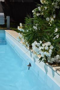 Maisons de vacances Villa plage piscine chauffee : photos des chambres