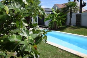 Maisons de vacances Villa plage piscine chauffee : photos des chambres