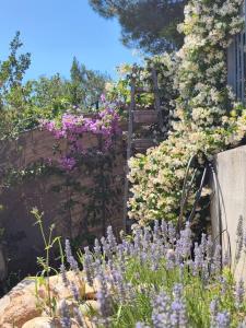 Maisons de vacances sublime appart terrasse piscine privee jardin : photos des chambres