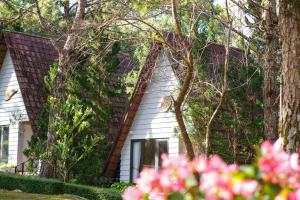 TTC Dreamy Hill Resort - Unlimited Access to TTC World - Thung Lung Tinh Yeu