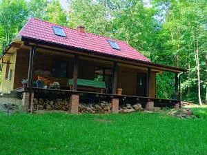 Dom całoroczny - Modryniec