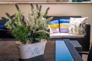 Apartamento Turístico Casa Museo Parking y Cargador