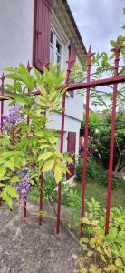 B&B / Chambres d'hotes Chambres d'hotes 