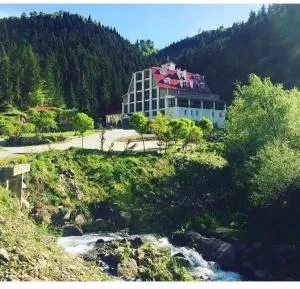 Hotel Green Valley Savsat - Oltu