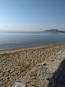 Artemis Central Home