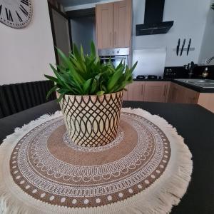 Maisons de vacances La calaisienne : photos des chambres