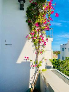 Thiên Nguyên Homestay