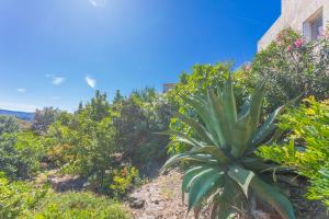 Appartements Vue mer dans les collines Cavalaire : photos des chambres