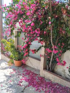 Theros Kalamitsa Apartment