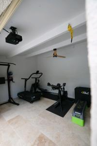 Rouleraventoux, Gîte sportif avec piscine, sauna, salle de sport, jardin