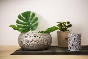 A comfortable small studio nearby Acropolis 4