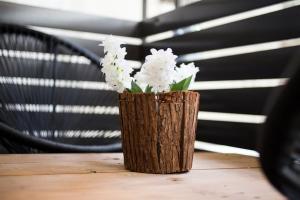 A comfortable small studio nearby Acropolis 4