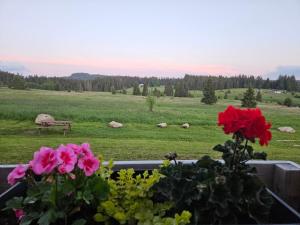 Ubytování U Křížku