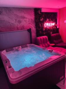 Appartements Chill N Love prox EuropaPark et Rulantica Strasbourg Colmar : photos des chambres